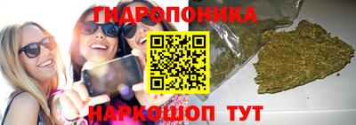 каннабис Аргун