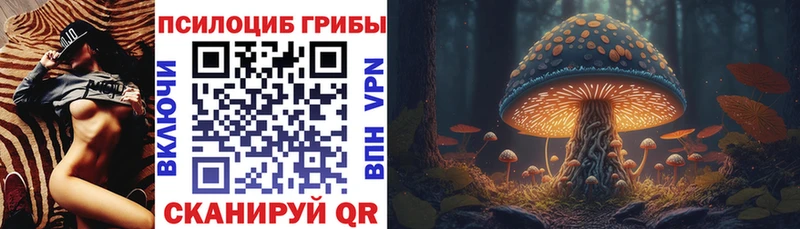 Псилоцибиновые грибы мицелий  цены наркотик  Урус-Мартан 