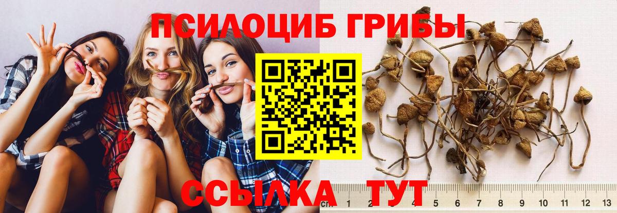 Галлюциногенные грибы прущие грибы  Урус-Мартан 