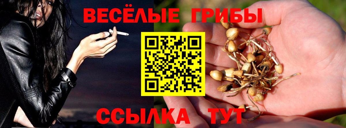 Псилоцибиновые грибы прущие грибы Урус-Мартан