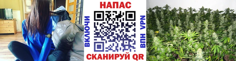 Каннабис SATIVA & INDICA  купить  сайты  Урус-Мартан 